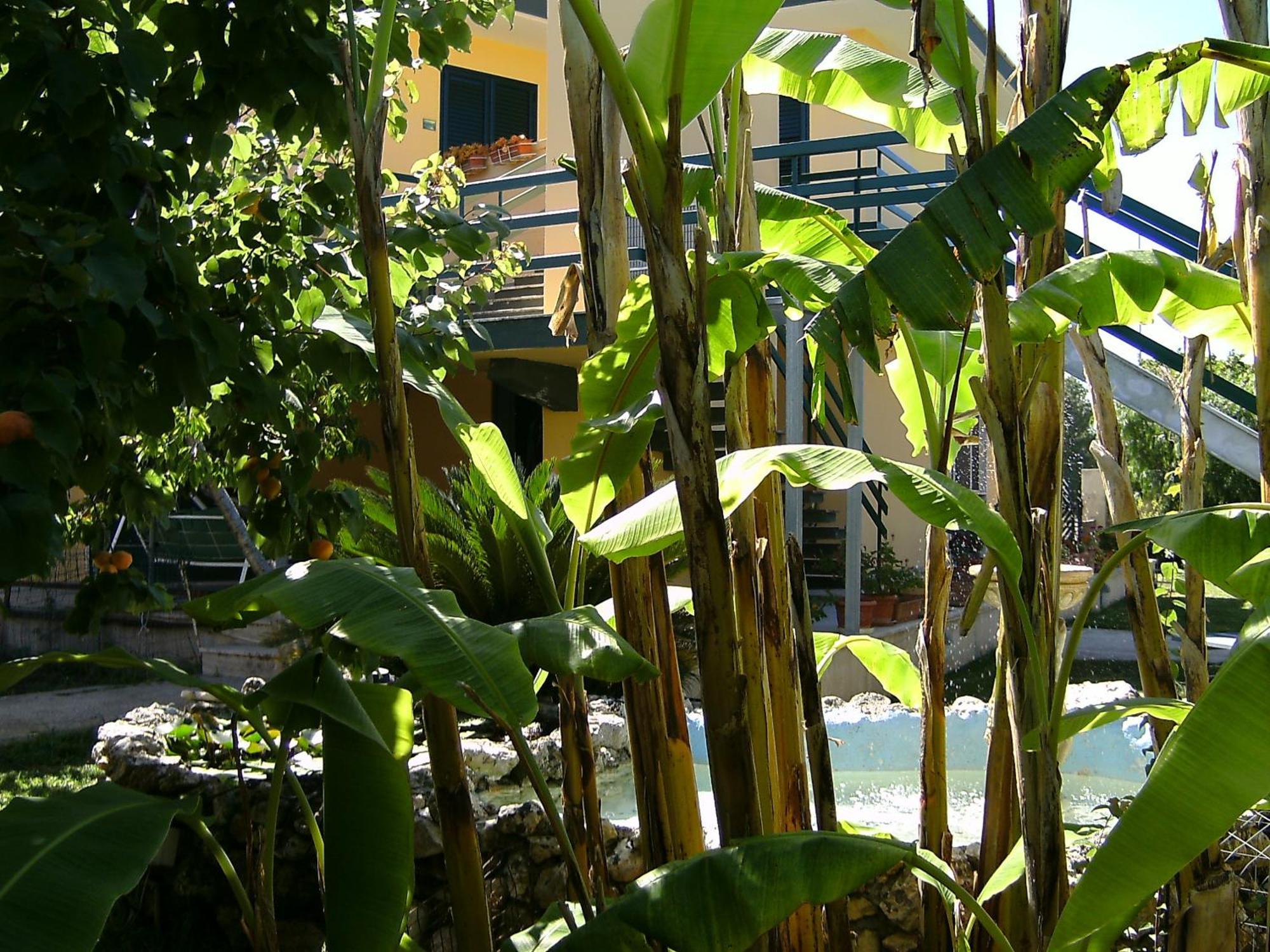 Vento Dell'est Bed and breakfast 2*