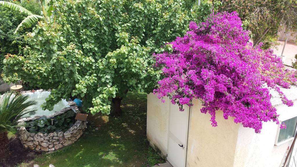 Bed and breakfast Vento Dell'est